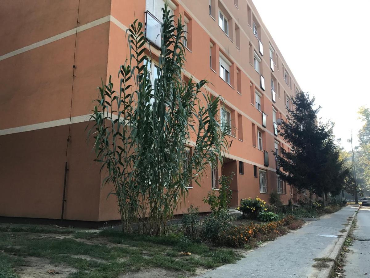 La Bella Maria Apartman 2. Apartment Kaposvar Ngoại thất bức ảnh